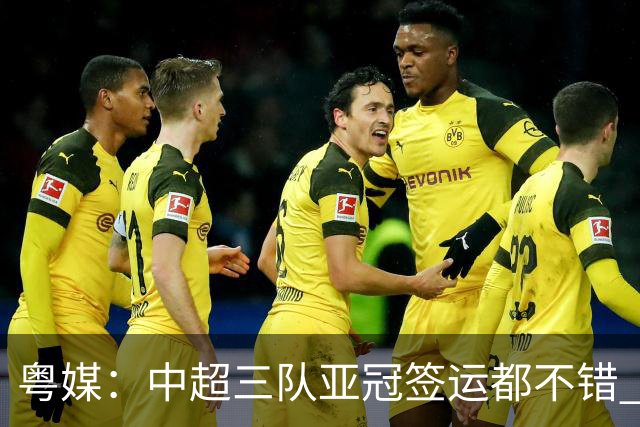 粤媒：中超三队亚冠签运都不错 全力出战能出线